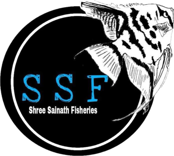 Shree Sainath Fisheries